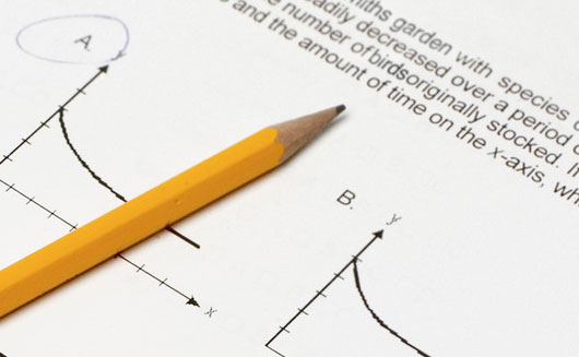 Surviving the SATs