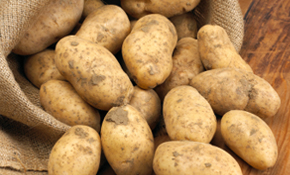 Spuds: King Edward reigns
