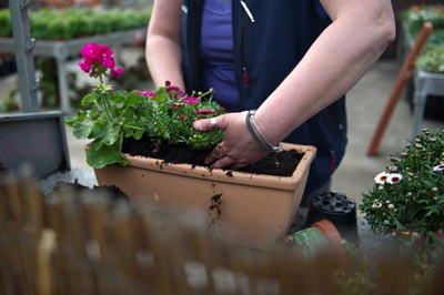 Garten-Markt: Gartencenter und Baumarkt sind für den deutschen Hobby-Gärtner wichtigste Anlaufstelle Bild