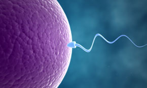 Opinions on abortion