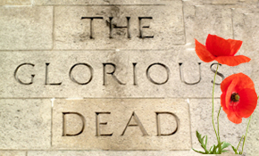The appeal of a poppy