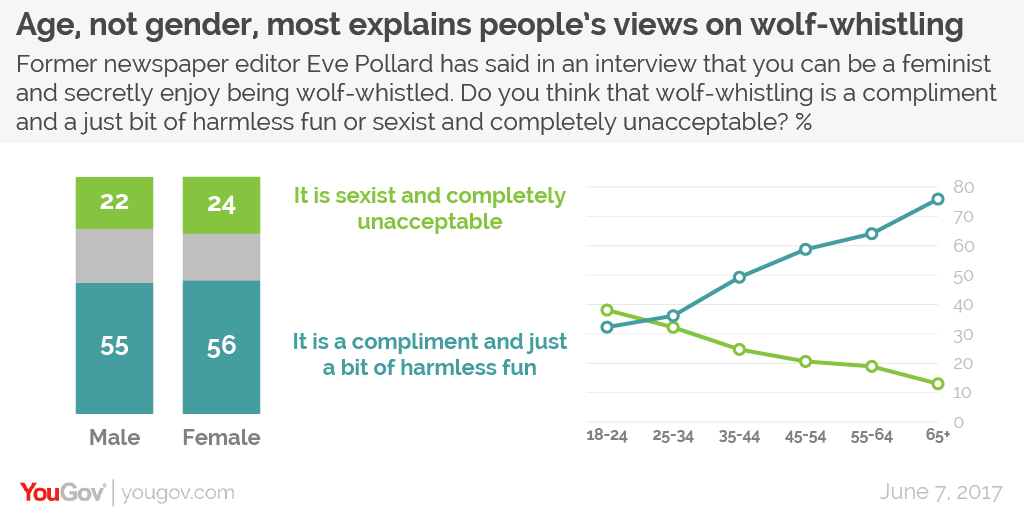 Age%20and%20gender%20wolf%20whistling-01.png