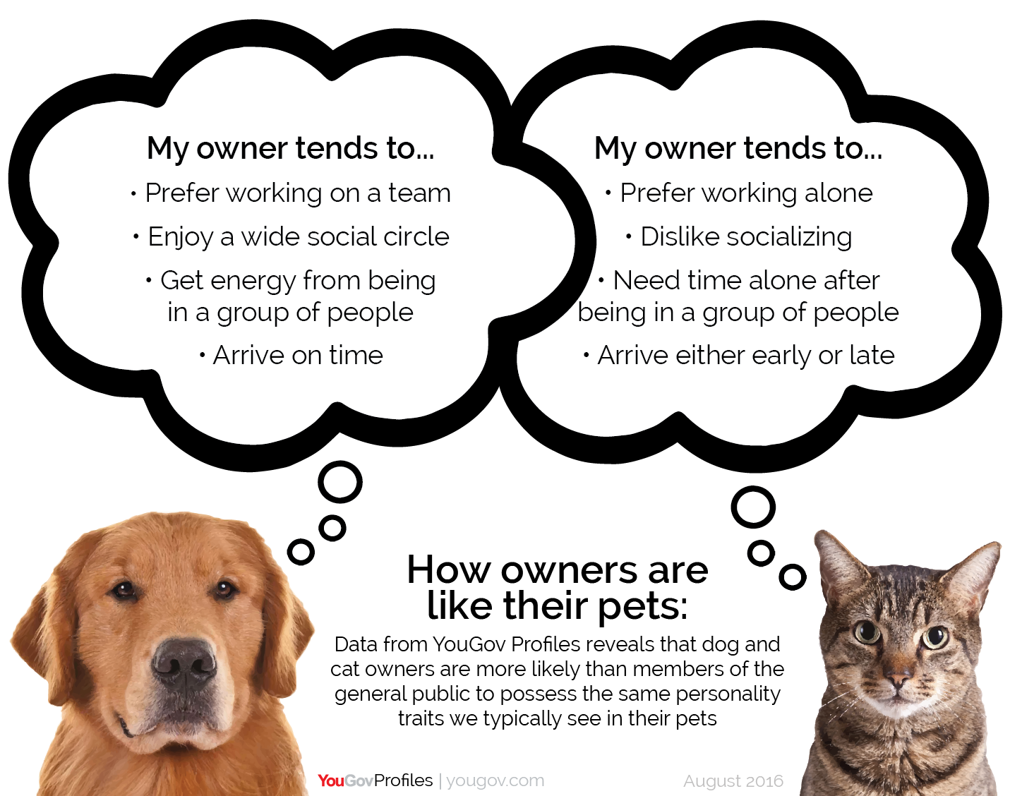 are you cat person or dog person