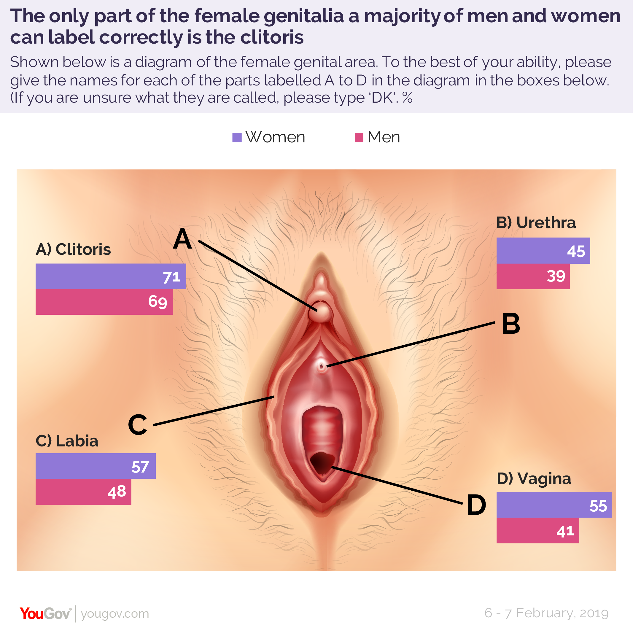 How Big Is The Vagina Hole