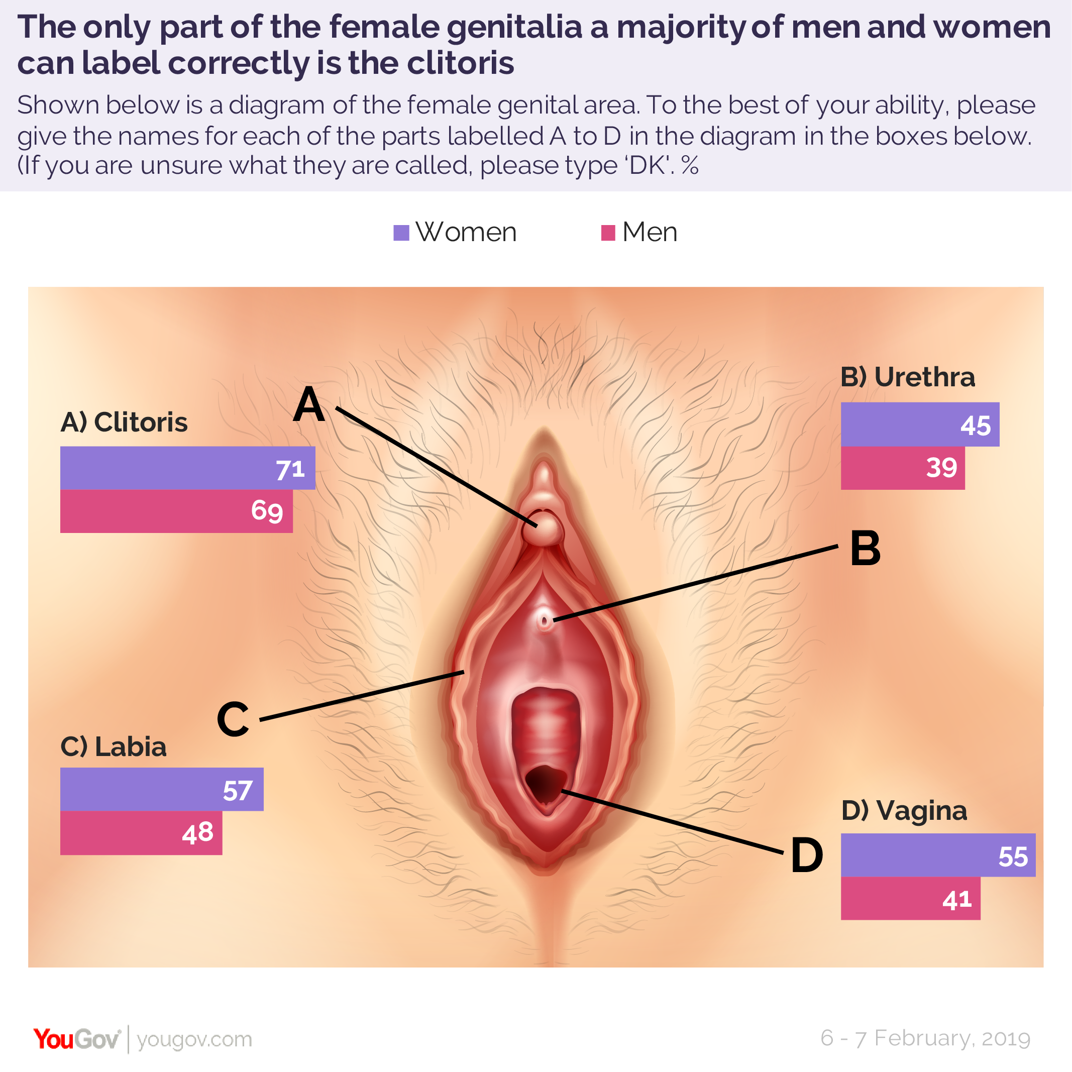 Half Of Brits Don T Know Where The Vagina Is And It S Not Just The Men Yougov