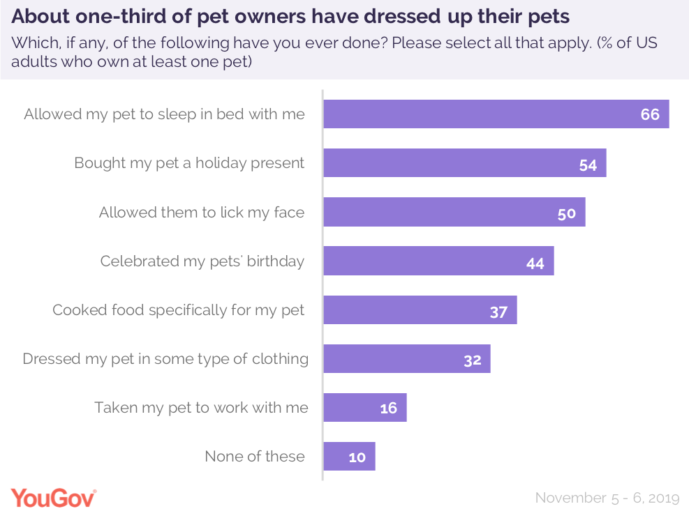 what is required to bring a dog into the us