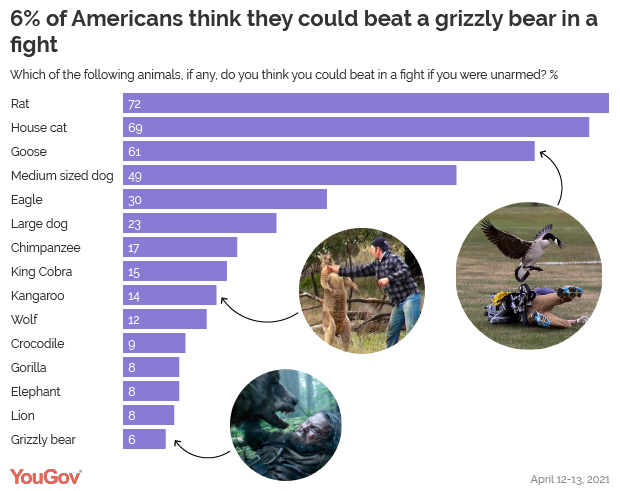 Rumble in the jungle: what animals would win in a fight? | YouGov