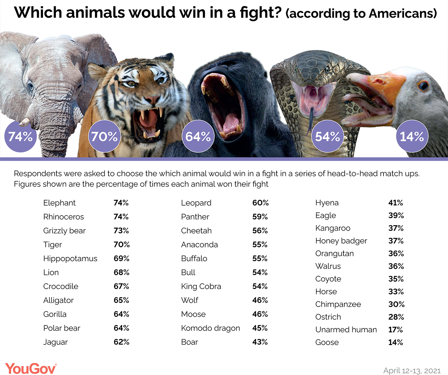 Rumble in the jungle: what animals would win in a fight? | YouGov