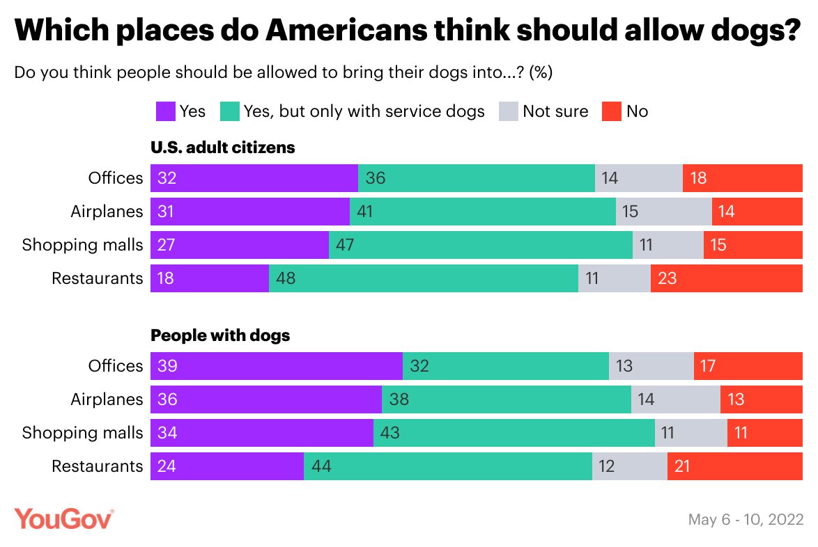 Nearly half of Americans support strengthening laws around animal cruelty |  YouGov